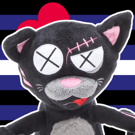 A black stuffed cat with scars in front of the leather pride flag.